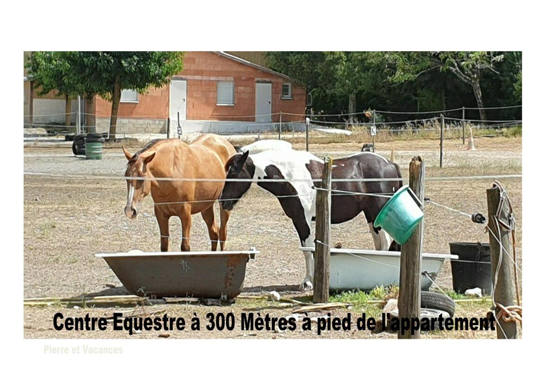 Charmant Appartement Avec Piscine. Monflanquin Bagian luar foto